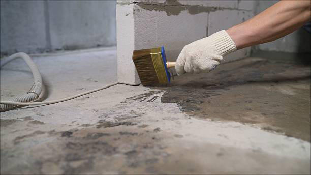 Top rated local Crawl Space Encapsulation specialists in Black Mountain, NC
